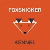 Foxsnicker
